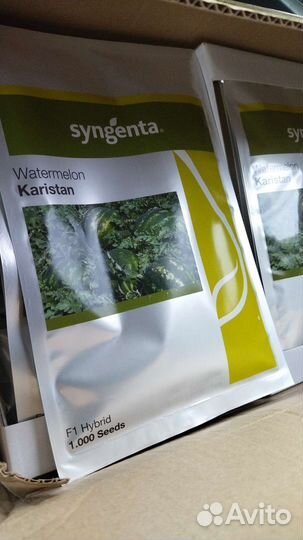 Семена арбуза
