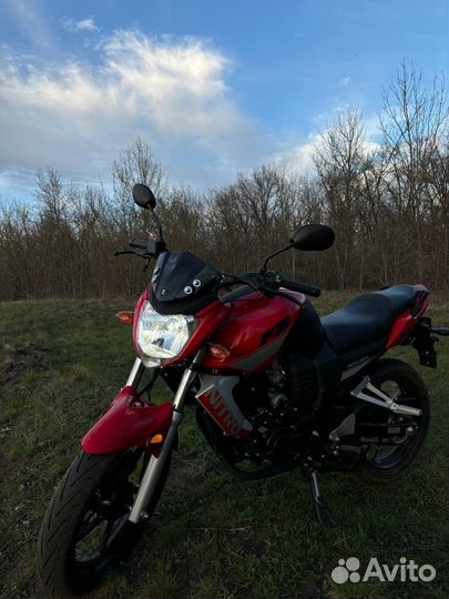Racer nitro 250