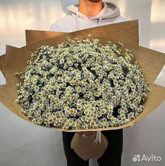 Цветы ромашки. Букеты ромашек. Цветы доставка