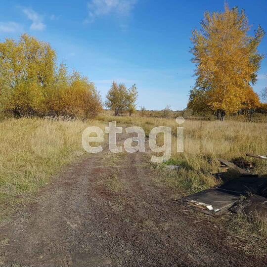 Участок 11 сот. (СНТ, ДНП)