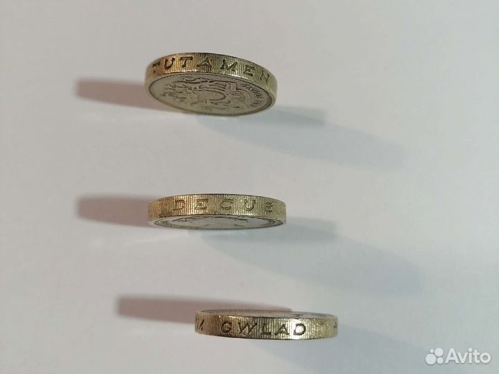 Монета один паунд