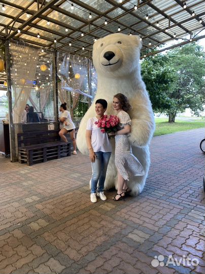 Аниматоры, Белый мишка