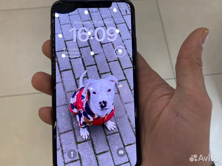 iPhone 11 Pro Max, 256 ГБ