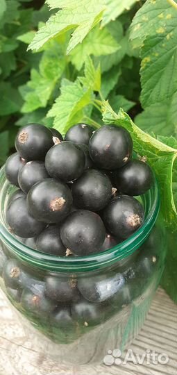 Яблочки, ягодка, грибочки, овощи