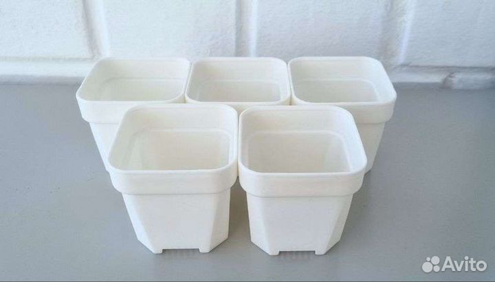 Квадратные горшки для суккулентов, 5 размеров