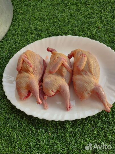 Мясо перепелов