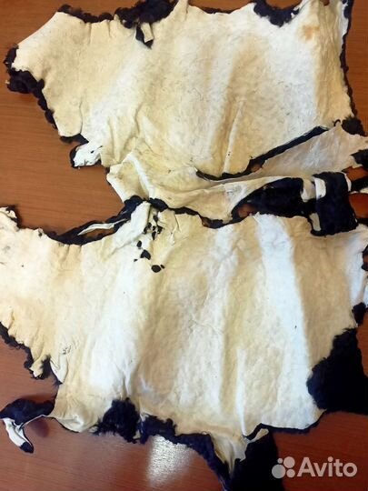 Шкура ягнёнка