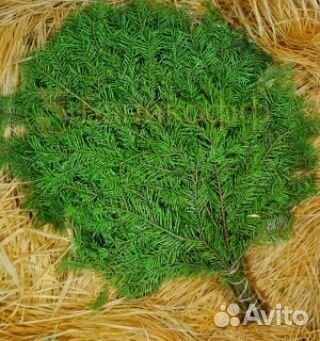 Веники пихтовые с доставкой