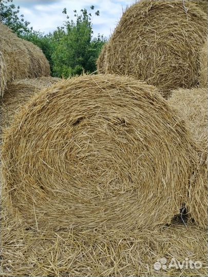 Продам пшеничную солому