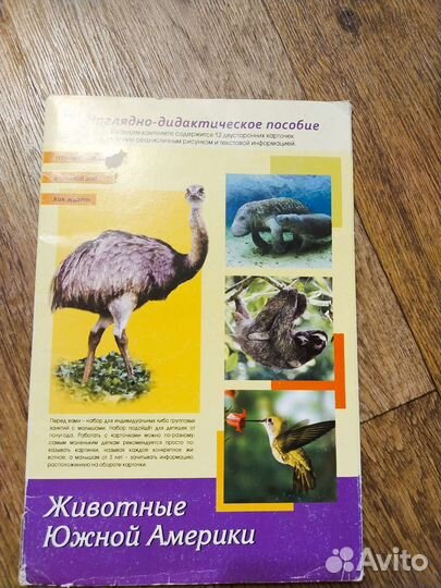 Развивающие карточки для малышей