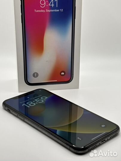 iPhone X, 256 ГБ