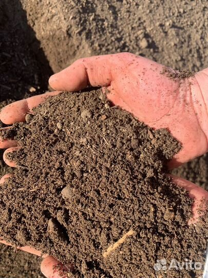 Перегной коровьего навоза в мешках (25 литров)