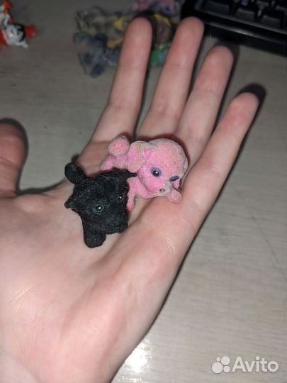 Маджики лошадки