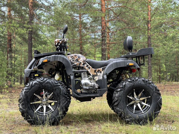 Обновленные promax 320 dominator PRO на кардане