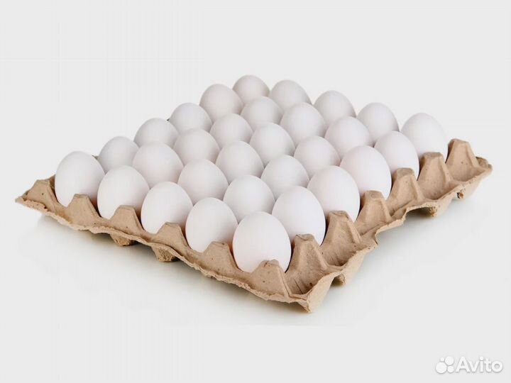 Яйцо куриное оптом. Доставка бесплатно