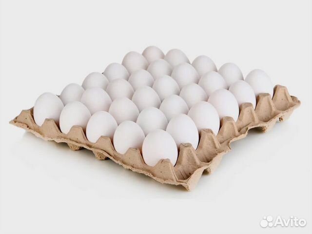 Яйцо куриное оптом. Доставка бесплатно