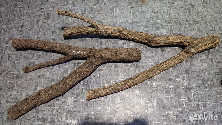 Доставка / Коряги, лиана, корни, листья магнолии