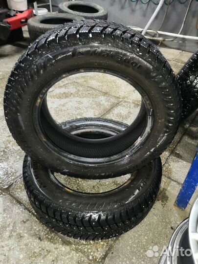 Matador MP 50 Sibir Ice 175/65 R14 82T