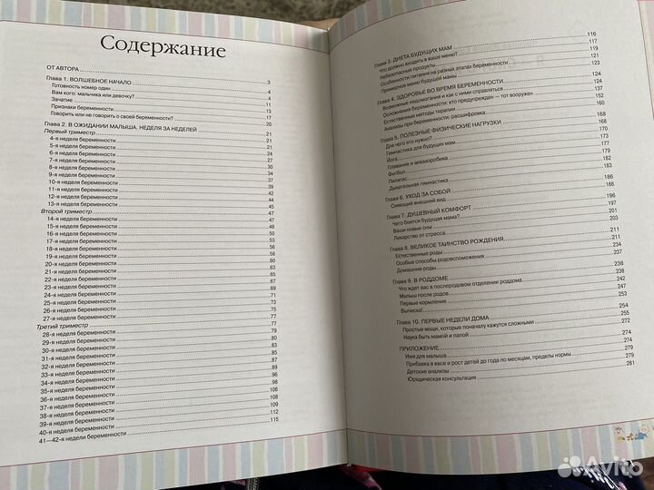 Ирина Чеснова Книга 