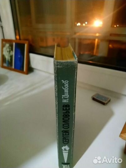 Сергей Соловьев. Биография серии жзл