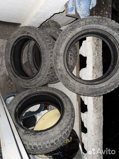 Dunlop Winter Sport 5 185/65 R15