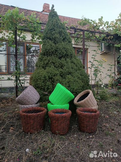 Кашпо из ротанга
