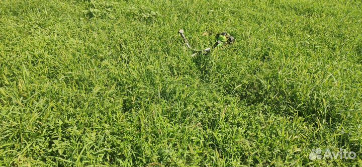 Покос травы