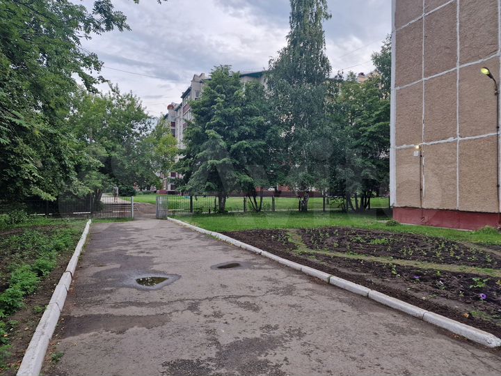 3-к. квартира, 81,5 м², 1/6 эт.