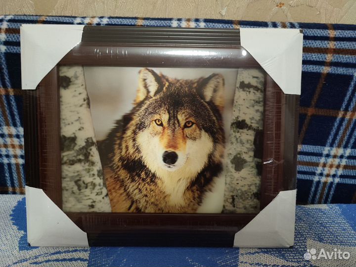 Волк картина