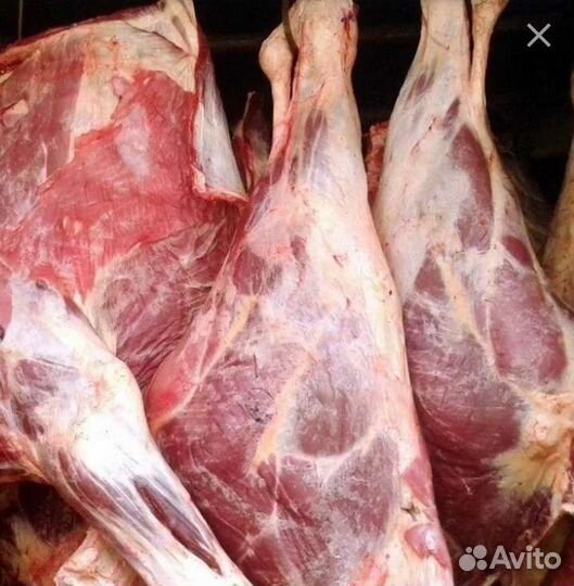 Мясо говядина