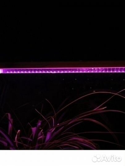 Фитосветильник для растений
