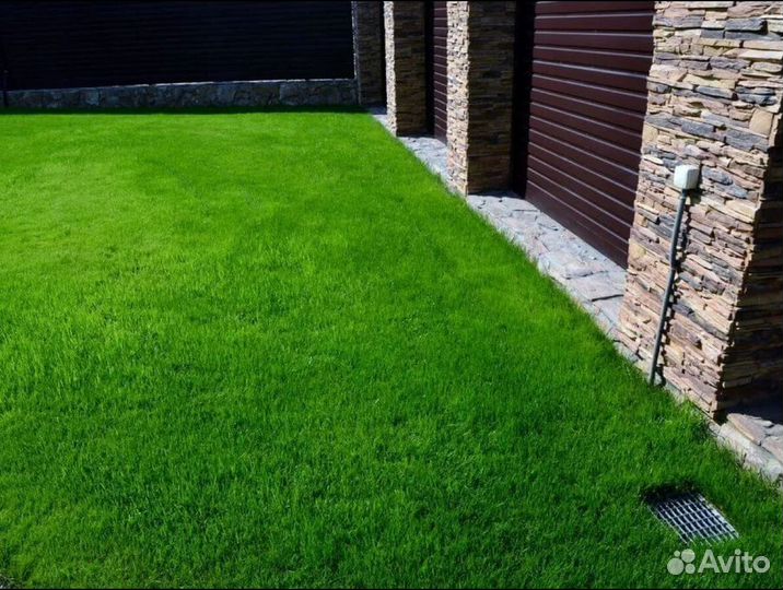 Рулонный газон укладка