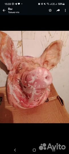 Свиная голова