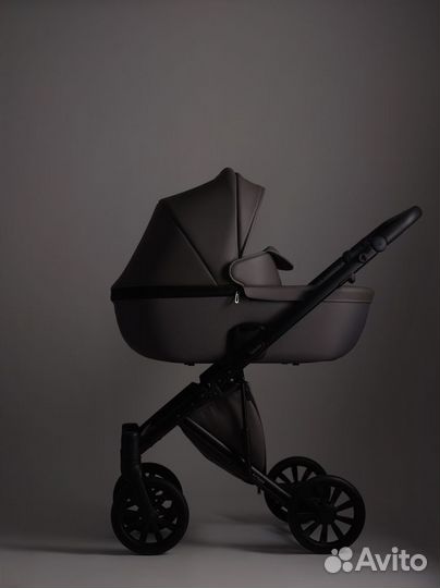 Коляска anex e type 2 в 1