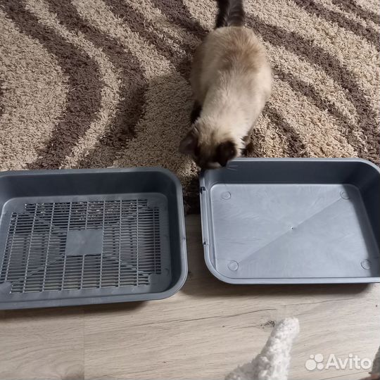 Лоток для кошек