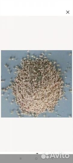 Коралловая крошка