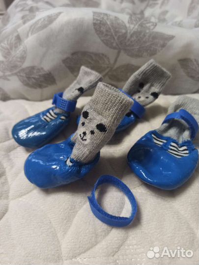 Одежда для собачки