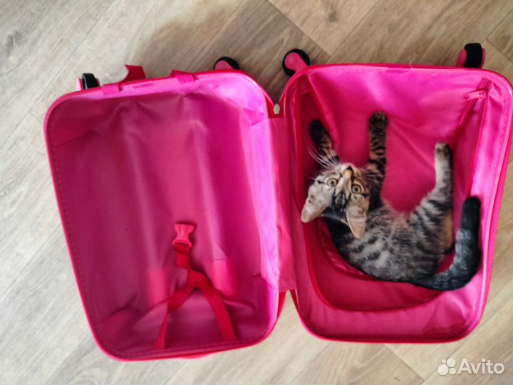 Детский чемодан б/у