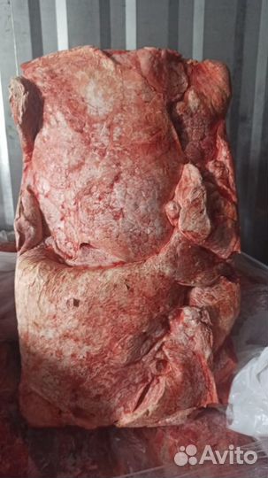 Мясо для собак корм для собак рубец