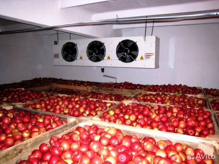 Овощехранилища с Холодильными Агрегатами под Ключ