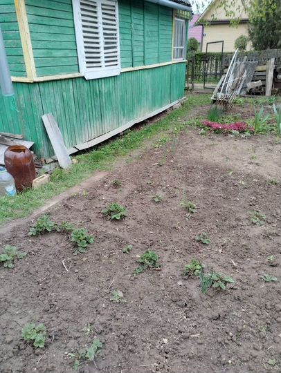 Дом 45,6 м² на участке 6 сот.