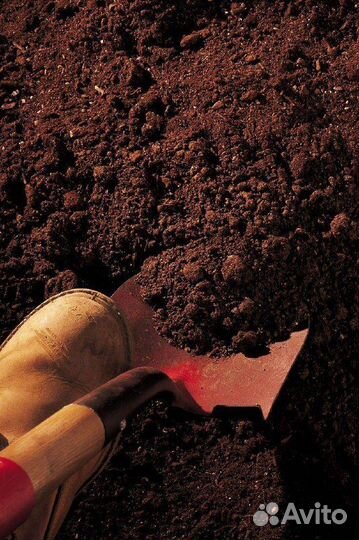 Купить универсальный грунт для рассады