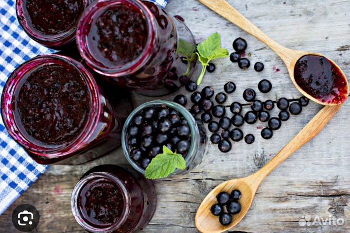 Черная смородина