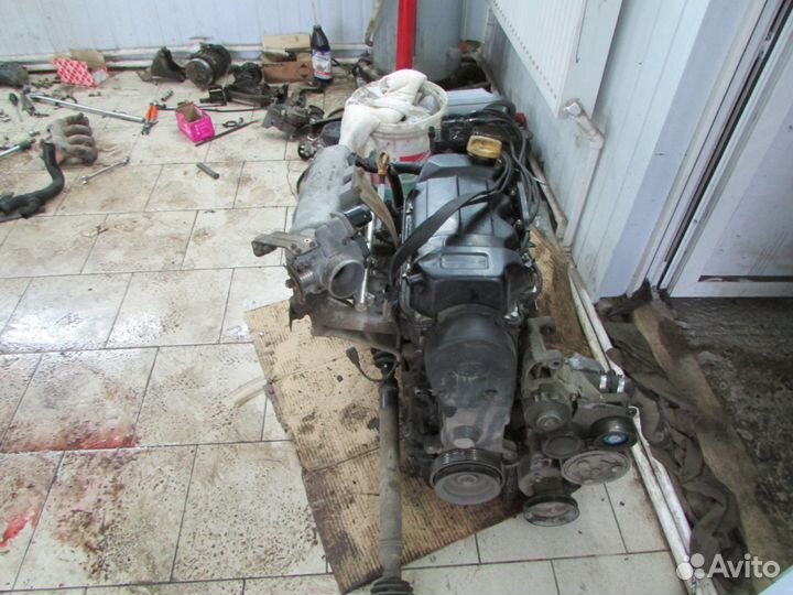 Чери Амулет