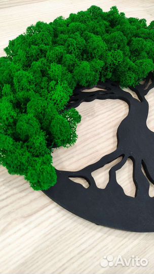 Панно настенное со мхом