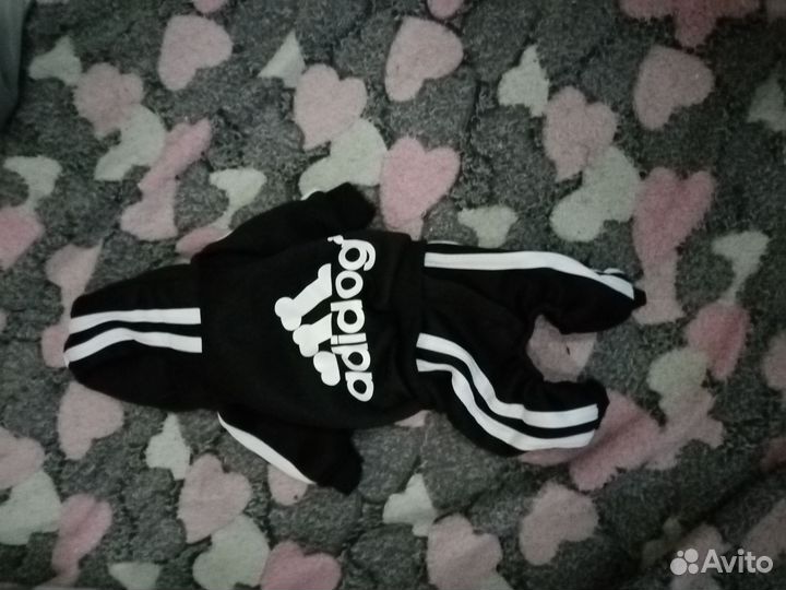 Одежда для собак