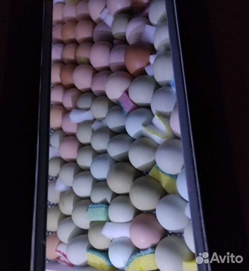 Инкубационное яйцо пасхальных кур