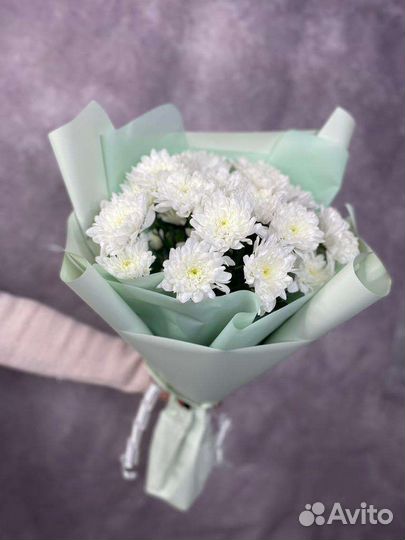 Букет. Хризантемы