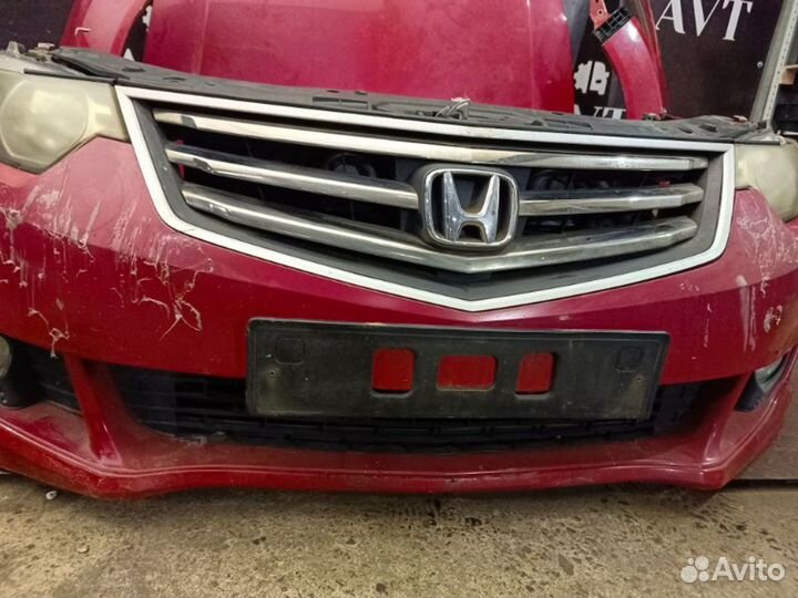 Ноускат (Nose Cut) Honda Accord 8