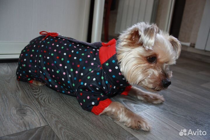 Комбинезон зимний для собак